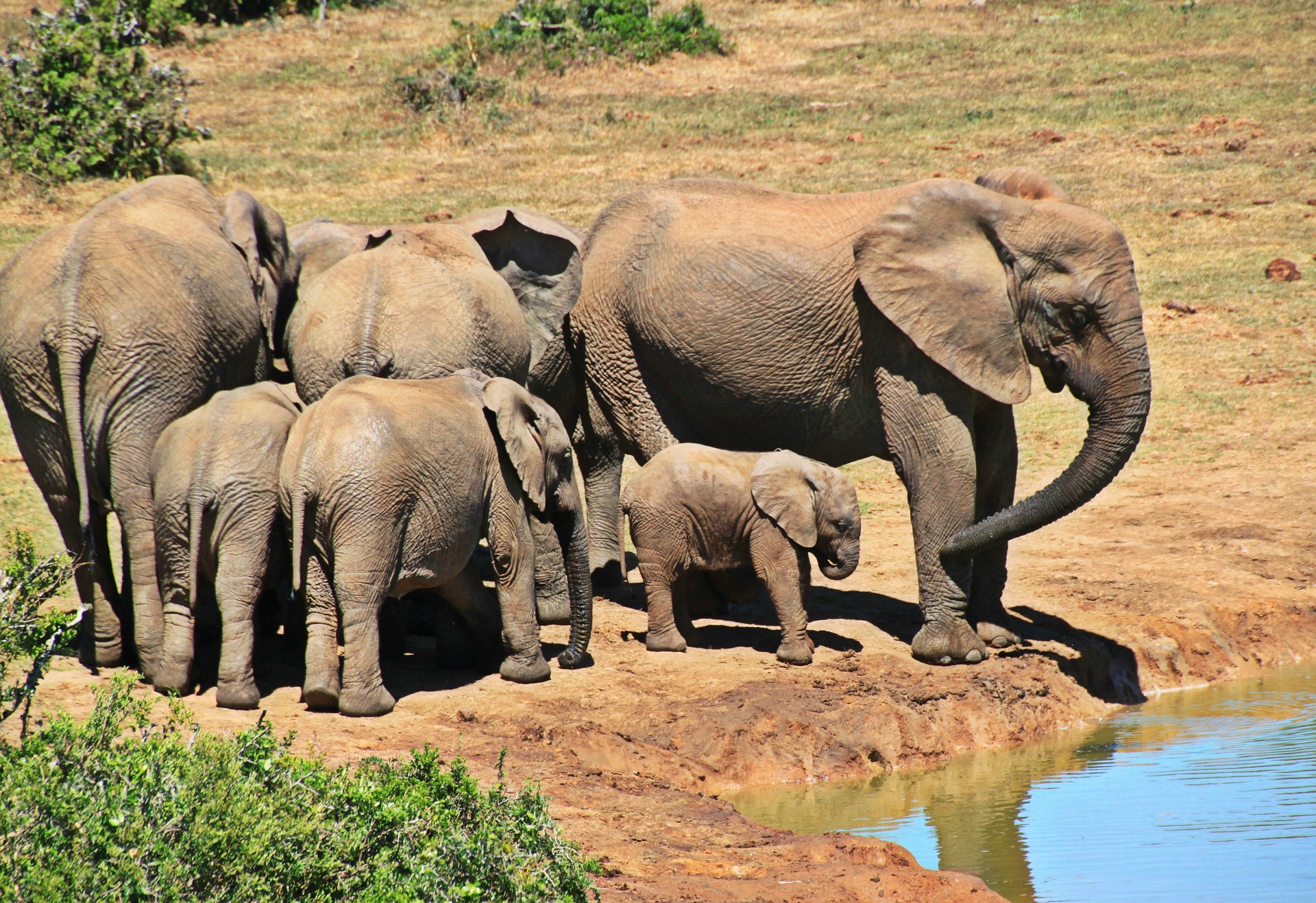 Top 5 Wildlife Destinations in Africa